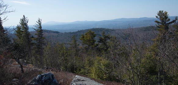 DEERING'S NATURAL HISTORY